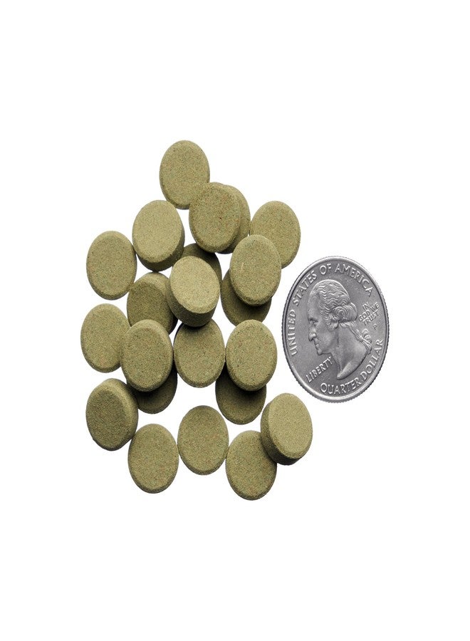 Plecoceramics أقراص Plecoceramics Bottom Feeder، غذاء عالمي لأسماك الزينة، والسلاحف، والأسماك الذهبية، وسمك السلور - رقائق بروتين سبيرولينا (100 غرام) - Image 3